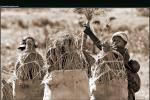 Women and Reconstruction